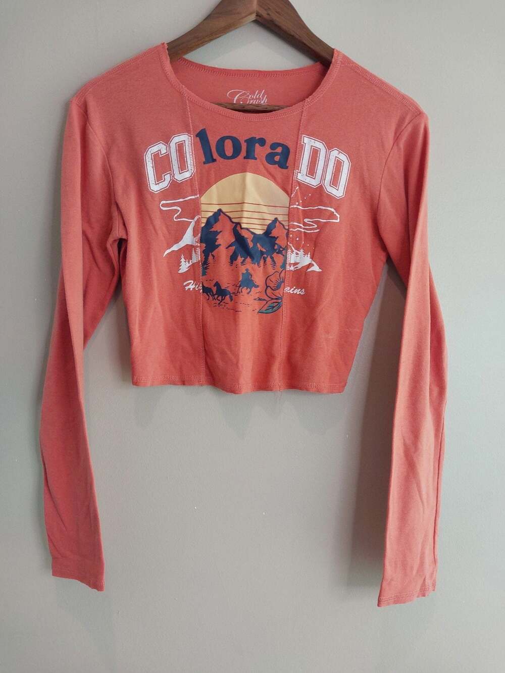 Cold Crush Colorado Mountains Graphic Long Sleeve Crop Top Orange Medium